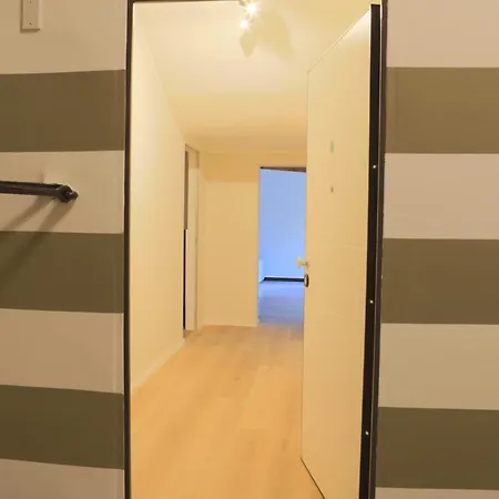 Renovated With Balcony In San Lorenzo - With Elevator Apartment